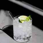 Texas Ranch Water for a summertime refreshment! Tequila, Topo Chico, and Lime!!!